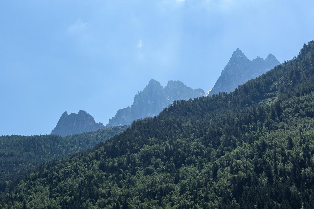 Apartment Iris 4 - Central Chamonix Haven Mont Blanc Екстериор снимка